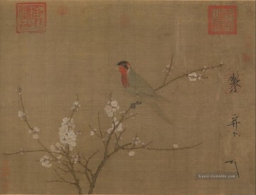  china - Fünf farbige Sittiche auf einem blühenden Aprikosenbaum 1119 alte China Tinte